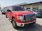 2010 FORD  F-150