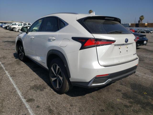 2021 LEXUS NX 300H BA JTJGJRDZ2M2169002