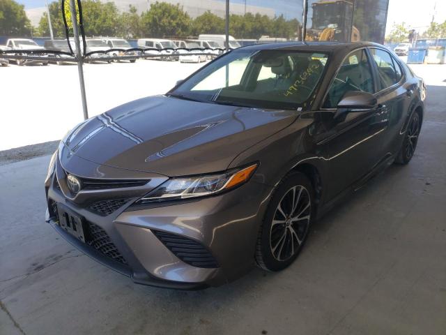 2019 TOYOTA CAMRY 4C 4T1B11HK4KU815598