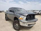 DODGE RAM 1500 2009 foto