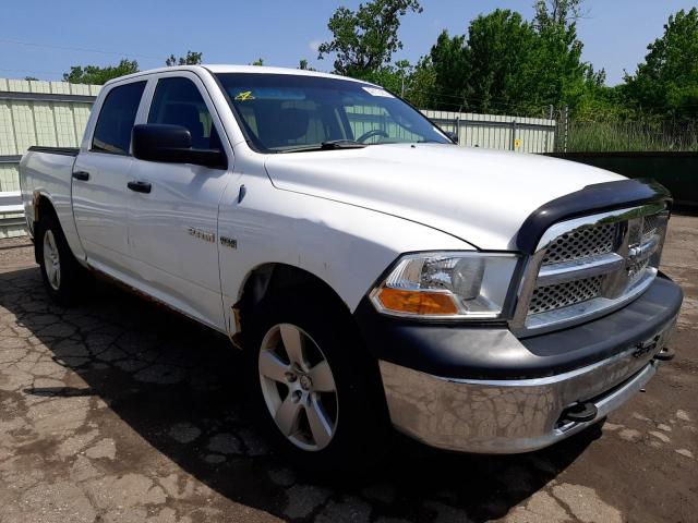 Salvage cars for sale from Copart Woodhaven, MI: 2010 Dodge RAM 1500