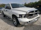 DODGE RAM 1500 2002 foto