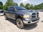 DODGE RAM 1500 2004 foto