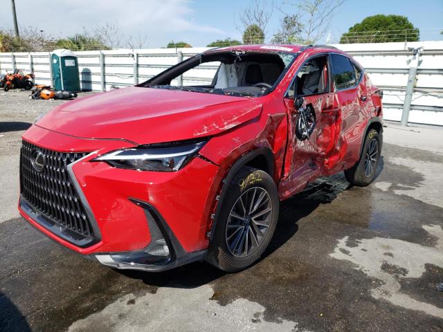 2022 LEXUS NX 250 JTJADCAZ9N2002295