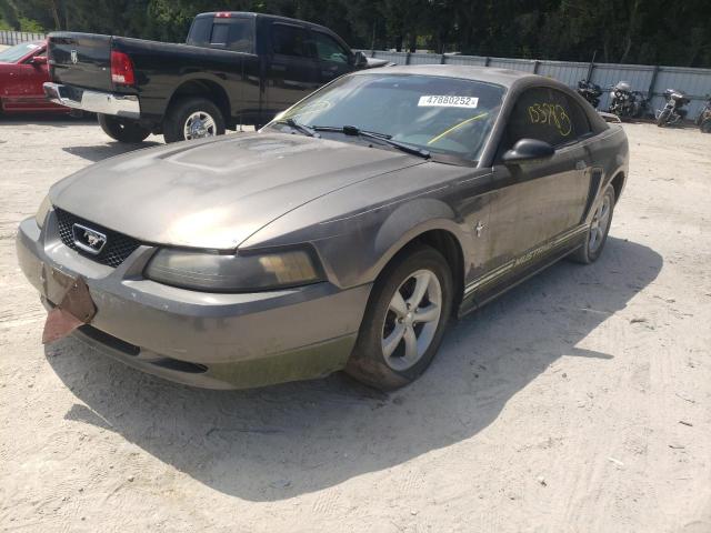 FORD MUSTANG 2003 1