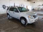 2008 FORD  ESCAPE