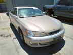 2001 LEXUS  ES300