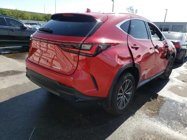 2022 LEXUS NX 250 JTJADCAZ9N2002295