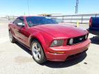 2006 FORD  MUSTANG