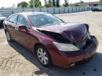 2008 LEXUS  ES350