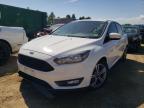 Lot #3024063621 2016 FORD FOCUS SE