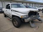 DODGE RAM 1500 2001 foto