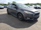 2015 FORD  FOCUS