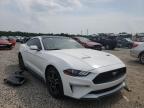 2019 FORD  MUSTANG