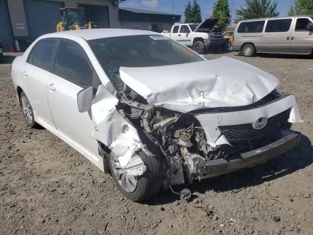 Salvage cars for sale from Copart Eugene, OR: 2009 Toyota Corolla BA