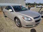 2009 CHEVROLET  MALIBU