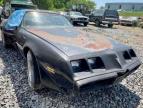 1980 PONTIAC  TRANS AM