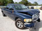 DODGE RAM 1500 2002 foto