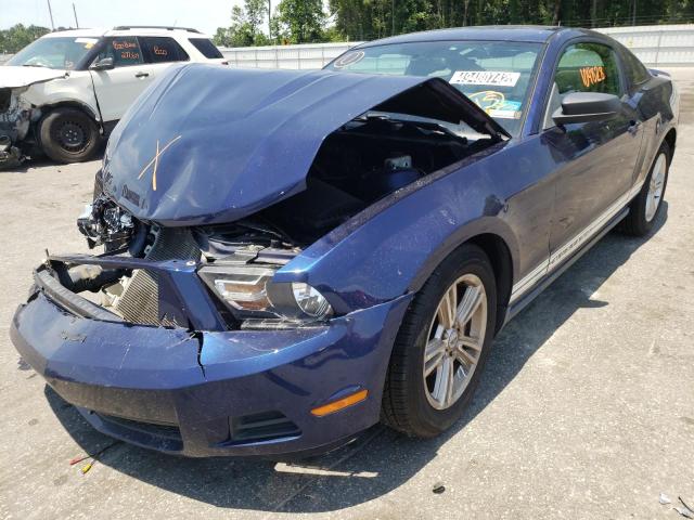 2010 FORD MUSTANG - 1ZVBP8ANXA5153791