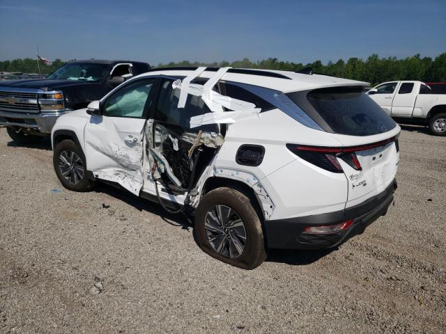 2022 HYUNDAI TUCSON BLU KM8JBCA18NU030432