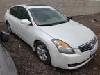 2008 NISSAN  ALTIMA