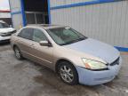 2005 HONDA  ACCORD