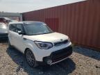 2019 KIA  SOUL