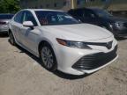 2019 TOYOTA  CAMRY