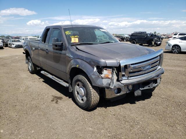 Ford F150 salvage cars for sale: 2009 Ford F-150
