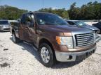 2011 FORD  F-150