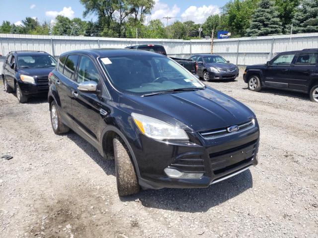 Salvage cars for sale from Copart Albany, NY: 2013 Ford Escape SEL
