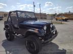 JEEP WRANGLER 1980 foto