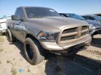 DODGE RAM 1500 2009 foto