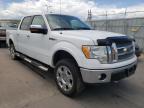 2011 FORD  F-150