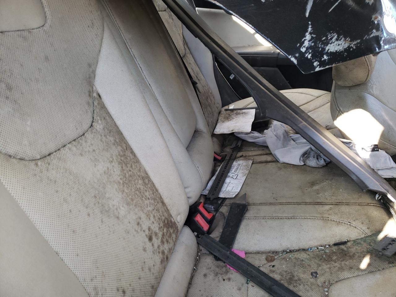 Global Auto Auctions