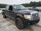 2009 FORD  F-150