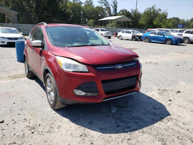 Salvage cars for sale from Copart Savannah, GA: 2014 Ford Escape SE