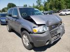 2007 FORD  ESCAPE