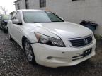 2008 HONDA  ACCORD