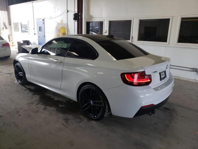 2015 BMW 228 XI WBA1F7C53FVX96223