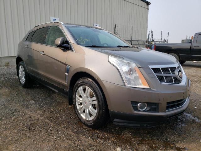 Salvage cars for sale from Copart Rocky View County, AB: 2011 Cadillac SRX Perfor