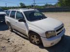 2007 CHEVROLET  TRAILBLZR