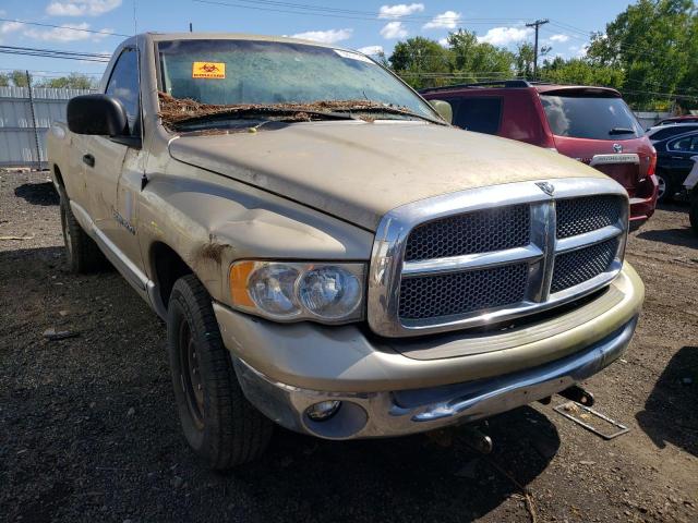Salvage cars for sale from Copart New Britain, CT: 2002 Dodge RAM 1500