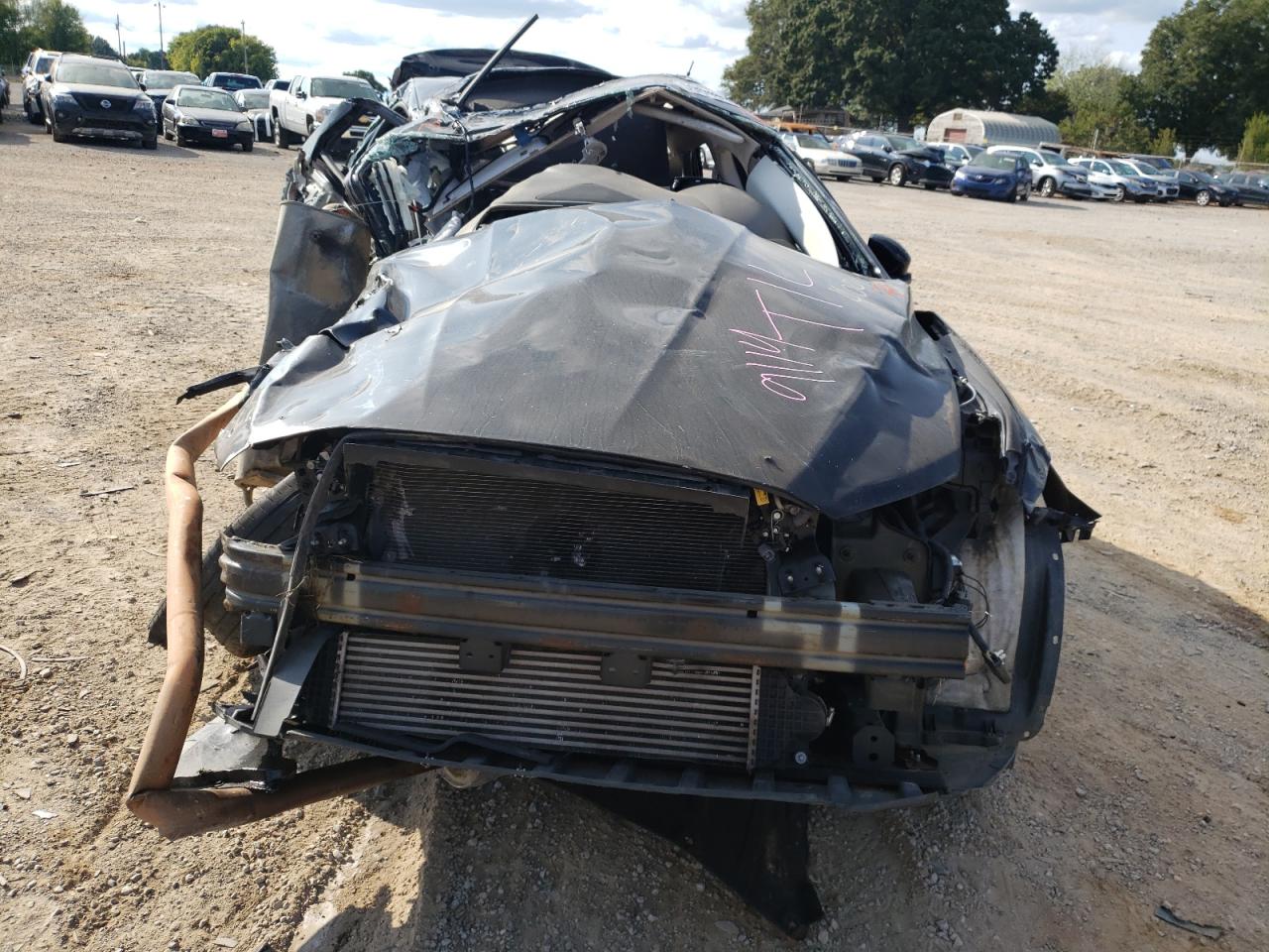 Global Auto Auctions