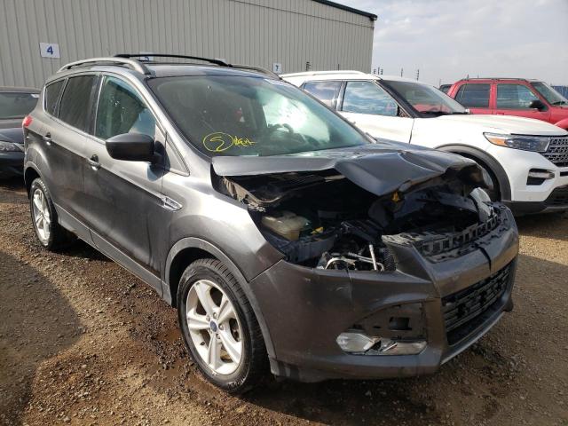 2015 Ford Escape SE for sale in Rocky View County, AB