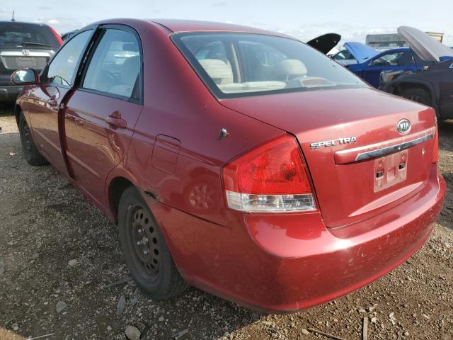 KNAFE121685509139 2008 Kia Spectra Ex