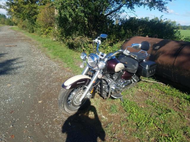 2000 YAMAHA XVS1100 JYAVP11E3YA008905