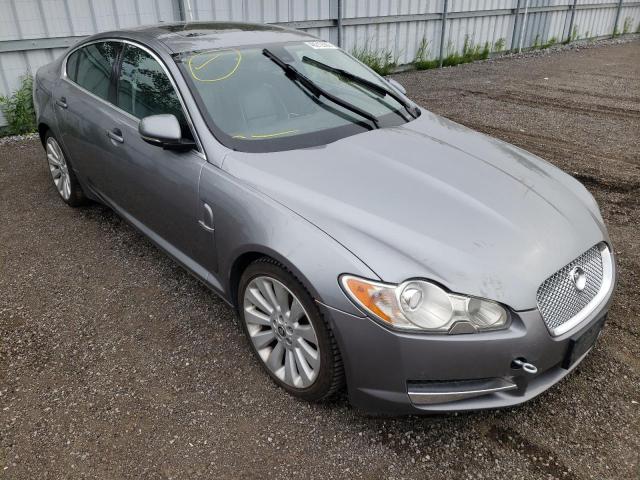 Salvage cars for sale from Copart Ontario Auction, ON: 2010 Jaguar XF Superch