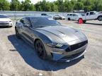 2019 FORD  MUSTANG