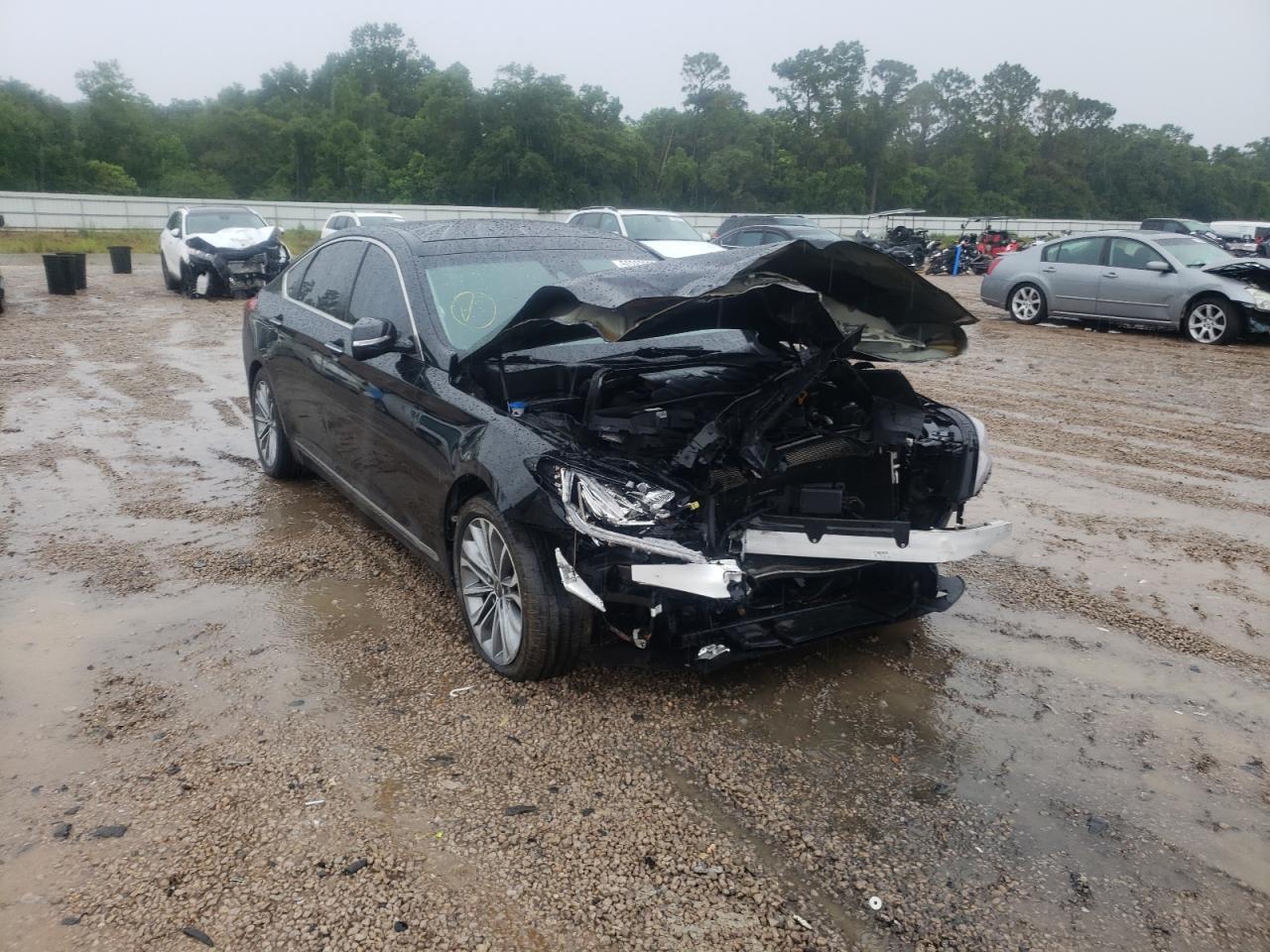 KMHGN4JE5HU176401 HYUNDAI GENESIS 2017